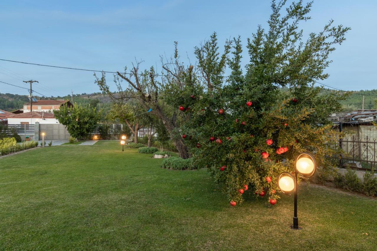 Castellano Vasiliki Villa Vasiliki  Bagian luar foto